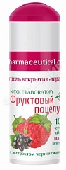 ПОМАДА ГИГИЕНИЧЕСКАЯ ФРУКТОВЫЙ ПОЦЕЛУЙ МАЛИНА 3,5ГР