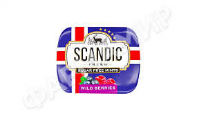 КОНФЕТЫ SCANDIC (СКАНДИК) Б/САХ 14ГР ЛЕСНЫЕ ЯГОДЫ
