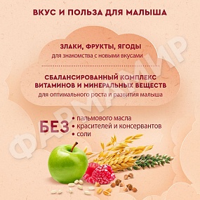 КАША МОЛОЧНАЯ ВИННИ 5 ЗЛАКОВ ЯБЛОКО МАЛИНА 200ГР