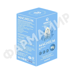МАГНИУМ 400МГ№60 КАПС