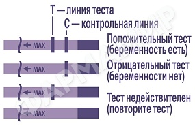 ТЕСТ Д/ОПР БЕРЕМЕННОСТИ EVITEST PLUS №2