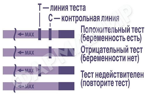 ТЕСТ Д/ОПР БЕРЕМЕННОСТИ EVITEST ONE №1